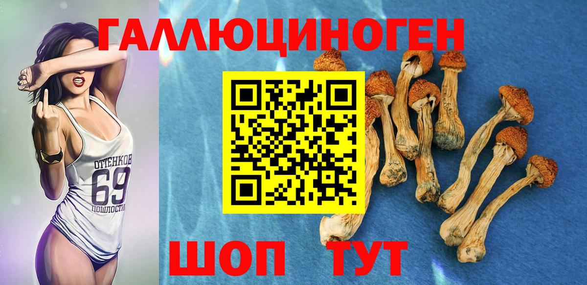 Псилоцибиновые грибы прущие грибы  Галлюциногенные грибы мухоморы  Татарск  Вход с VPN 